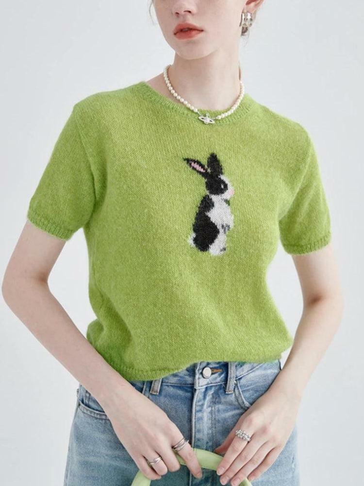 Soft Girl Aesthetic Rabbit Knitted Crop Top - Cozy Grunge Style Clothing